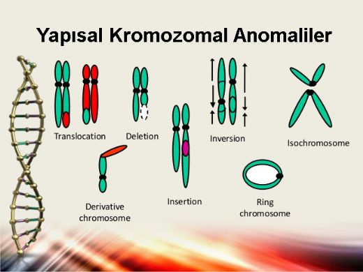 15 Kromozom Hastalklar